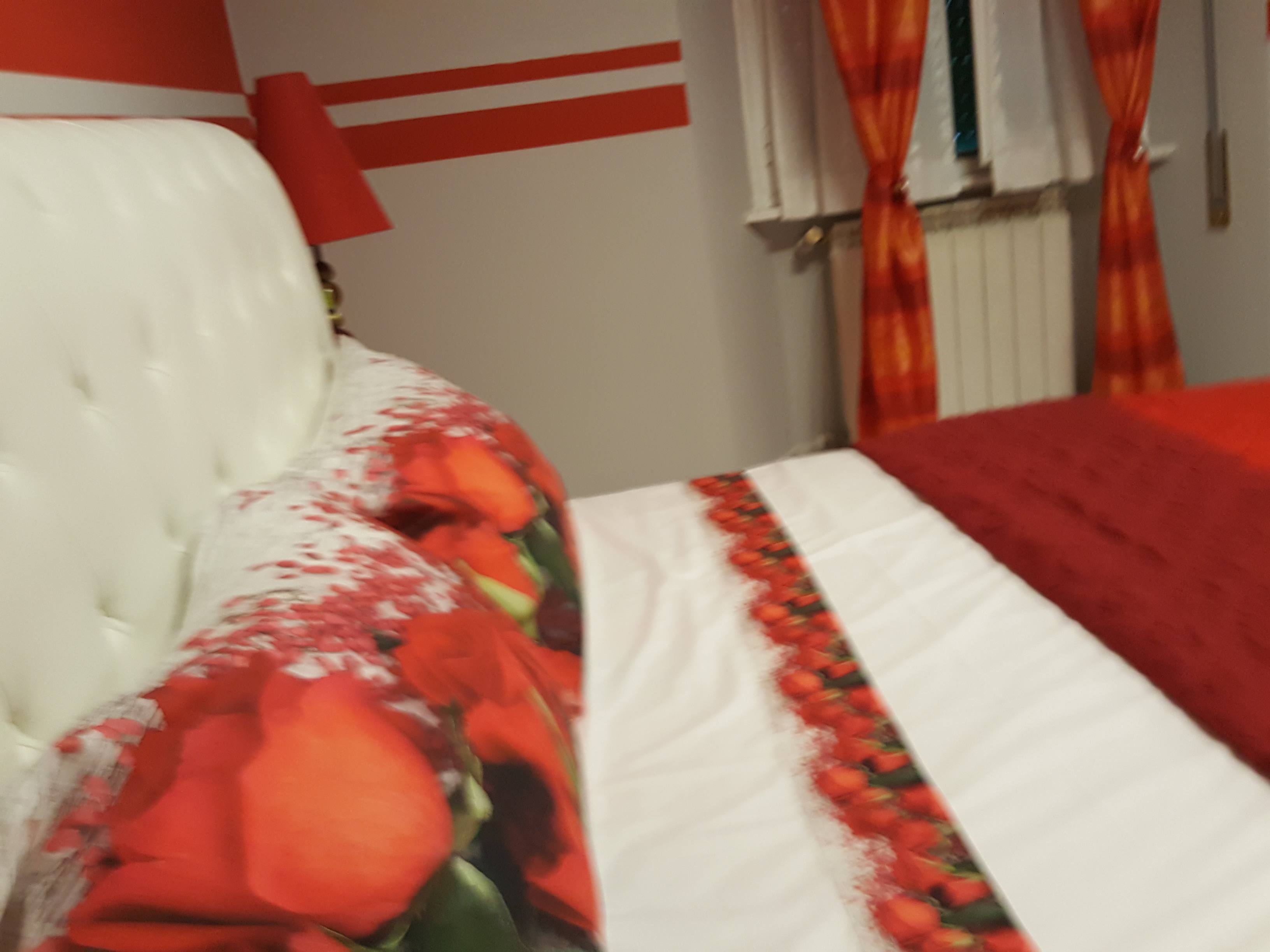 rossa (15)